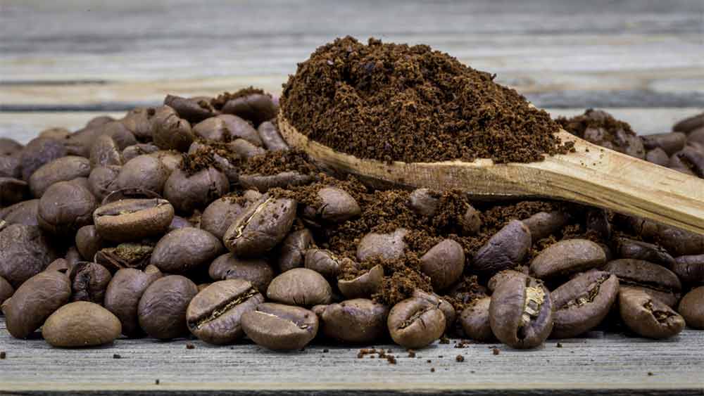 Origin of Cocoa Beans