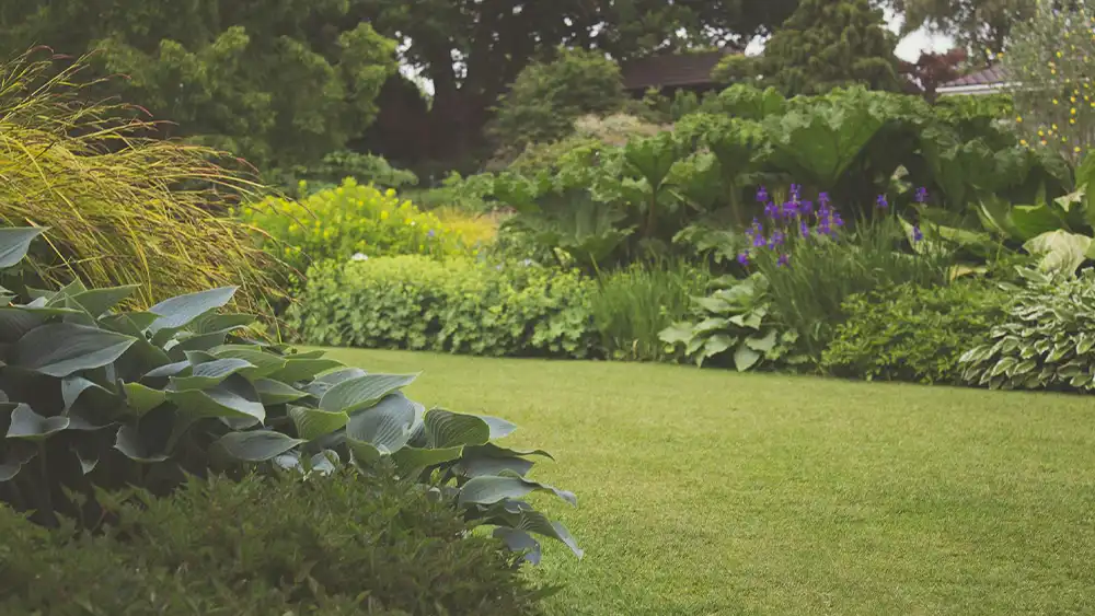 Green and Lush All Year Round