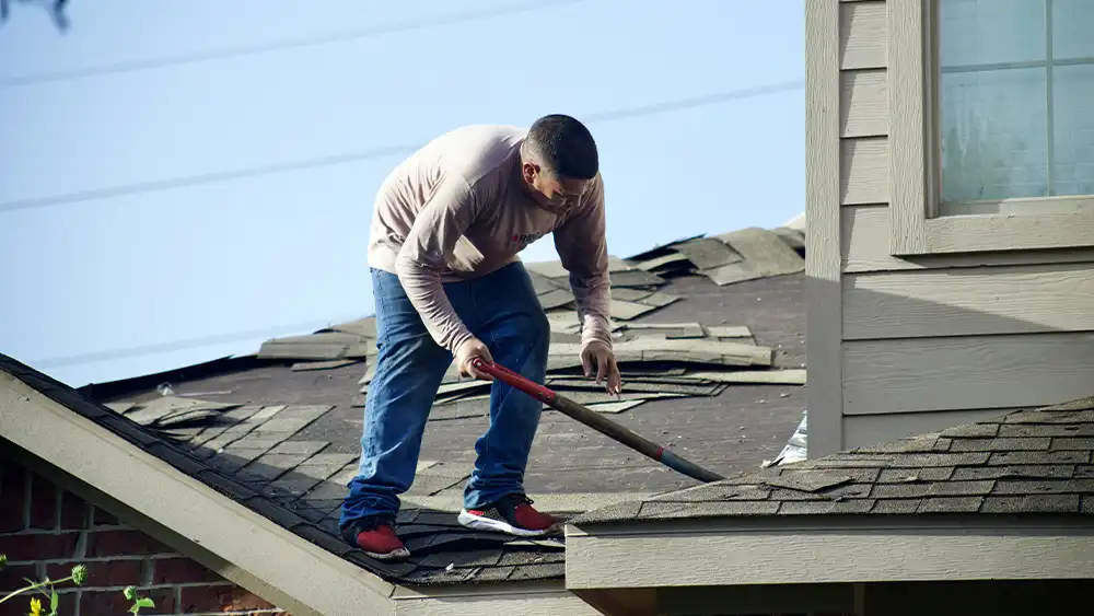 Clear Debris and Clean Gutters