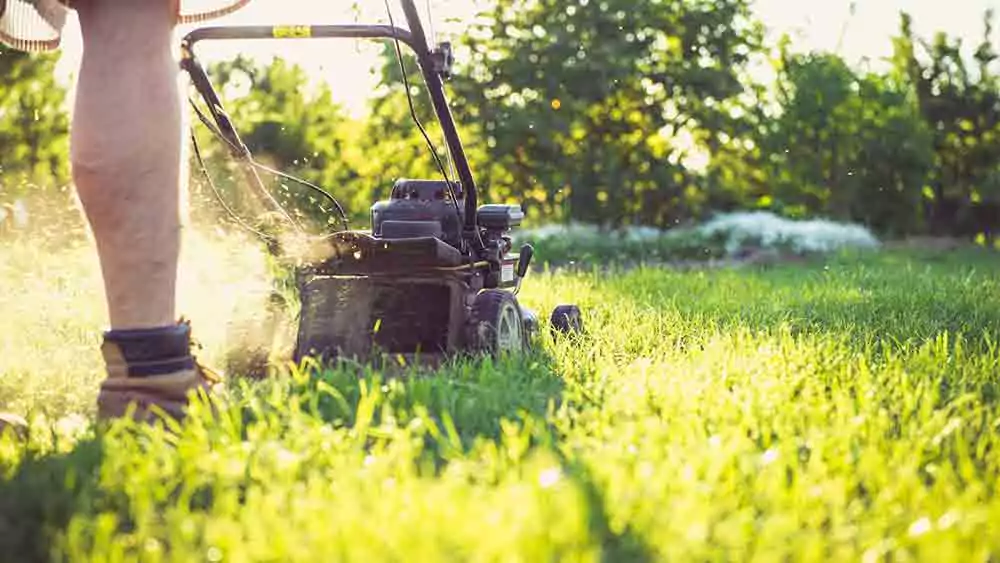 True Greens Lawn Maintenance