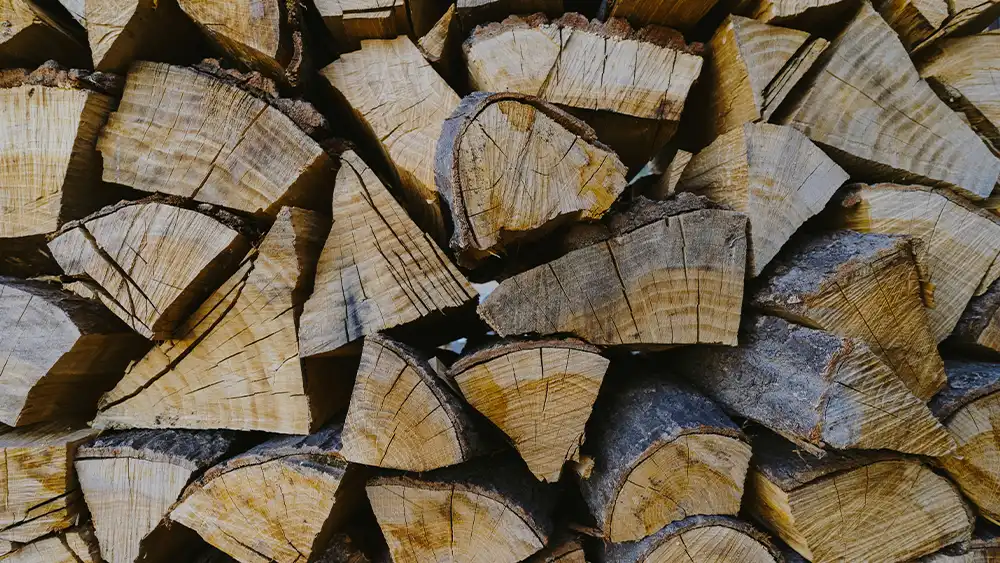 Types of High-Quality Sustainable Wood