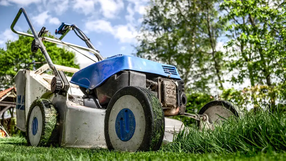 Factor to consider when selecting a Lawn Mower