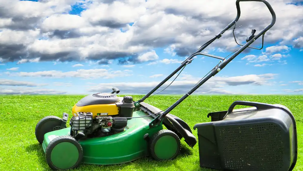 Evaluating Types of Lawn Mowers