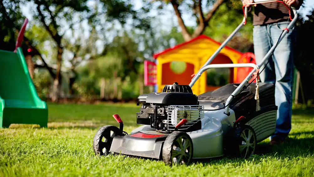 Invest in High-Quality Lawn Care Tools