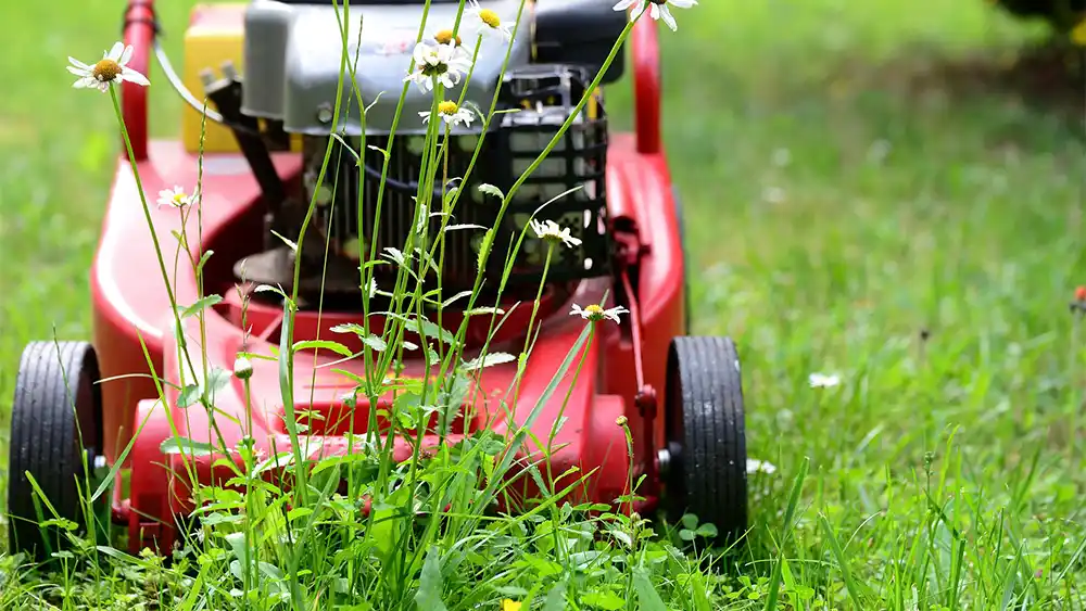 Lawn Mower Parts guide