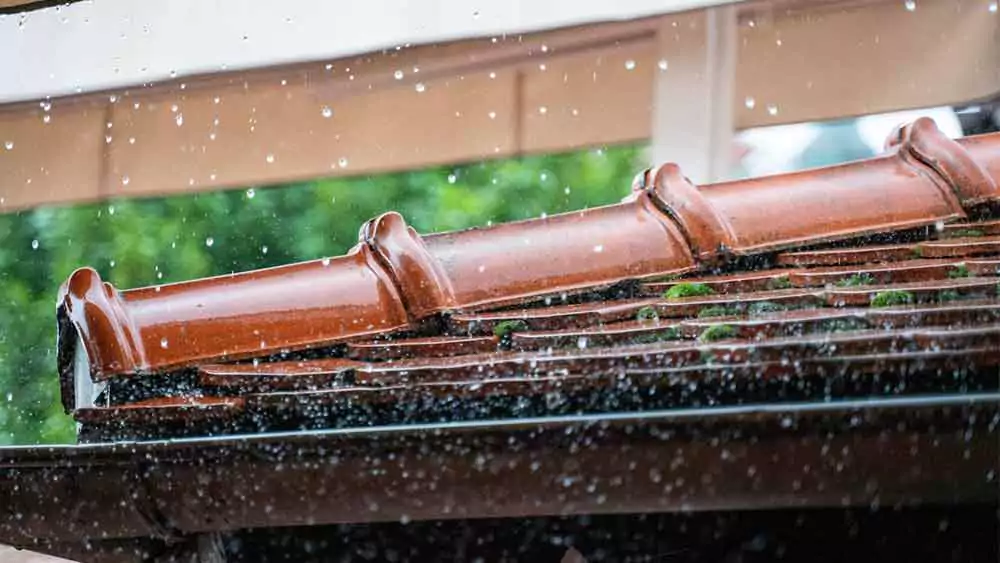 gutter cleaning prevents water damage