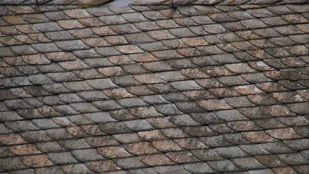 Recognizing Signs of Roof Damage